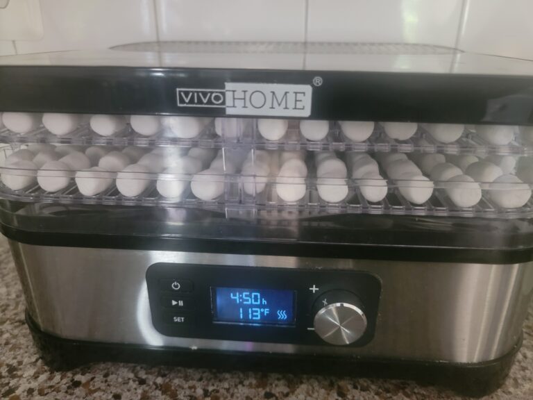 Sweet & Simple: Dehydrating Marshmallows as a Fun Sensory Project